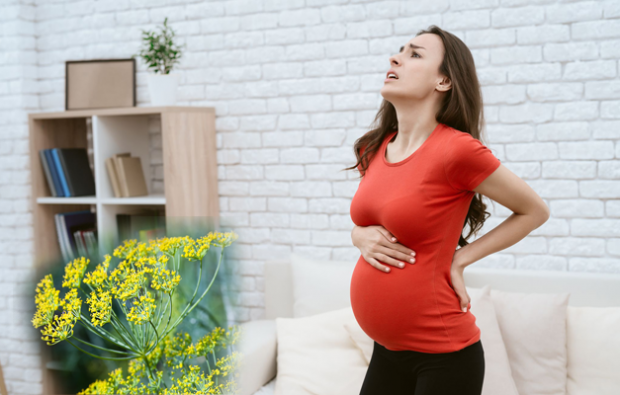 obat alami untuk sakit punggung bawah pada kehamilan