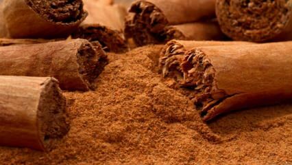Apa manfaat kayu manis? Obat kayu manis yang membersihkan usus oleh İbrahim Saraçoğlu