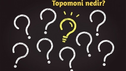 Apa itu topomoni, apa yang diteliti? Apa manfaat ilmu topomonic? 
