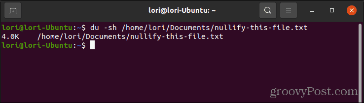Menggunakan perintah du untuk memeriksa ukuran file di Linux