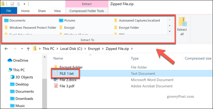 Mengekstrak file individu dari file Zip di Windows File Explorer