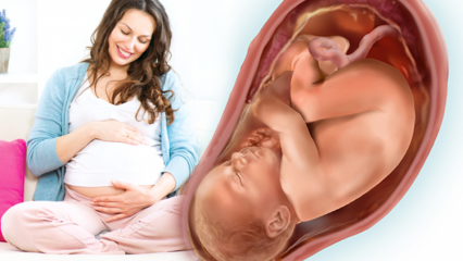 Bagaimana cara melahirkan secara normal? Kapan menstruasi datang setelah kelahiran? Nyeri persalinan normal ...