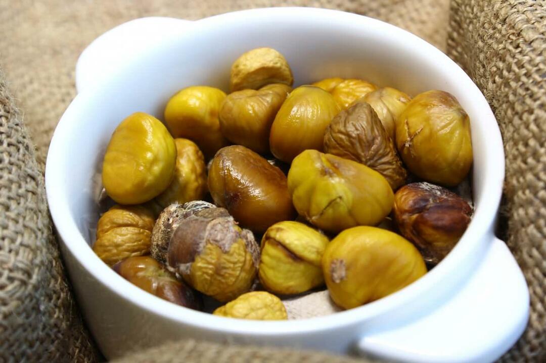 Bolehkah ibu hamil makan chestnut? Manfaat makan chestnut saat hamil untuk bayi dan ibu