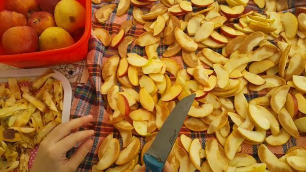 Cara mengeringkan apel