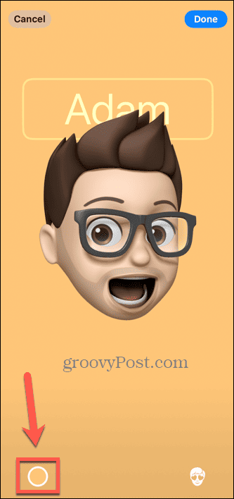 warna memoji poster kontak ios