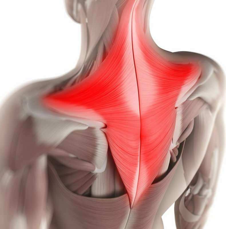 Pada siang hari, tanpa disadari, otot-otot di area leher bisa tertarik pada posisi duduk yang salah. 