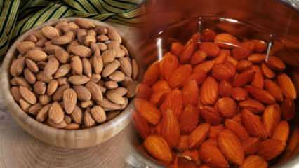 Berapa kalori almond? Almond mentah atau almond panggang melemah? Penurunan berat badan dengan makan almond