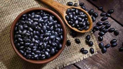 Apa manfaat kacang hitam? Kacang hitam mendukung pertumbuhan otot! 
