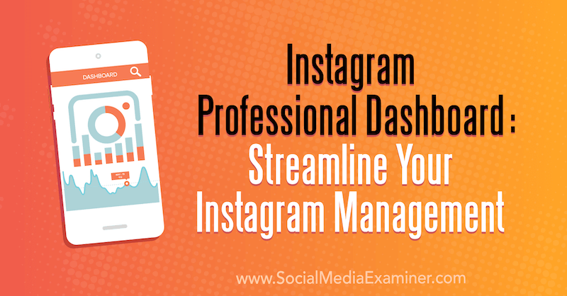 Dasbor Profesional Instagram: Sederhanakan Manajemen Instagram Anda oleh Naomi Nakashima di Penguji Media Sosial.