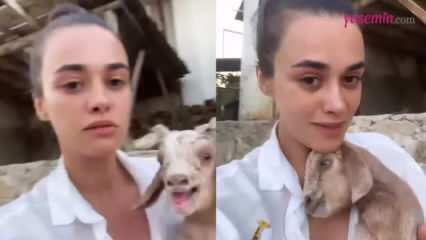 Berbagi dengan anak domba yang baru lahir dari aktris Hande Soral!