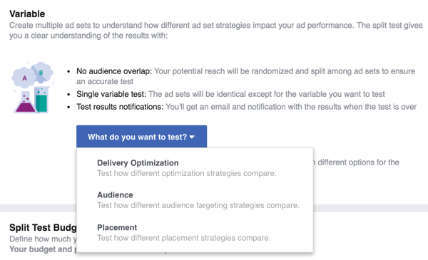 Pilih variabel yang ingin Anda uji dengan iklan Facebook Anda.