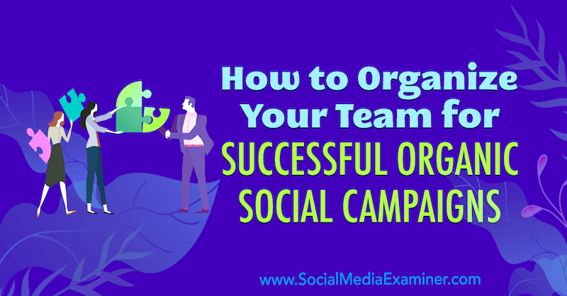 Bagaimana Mengorganisir Tim Anda untuk Sukses Kampanye Sosial Organik oleh Janette Speyer di Penguji Media Sosial.