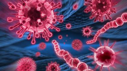Apa itu virus Mers? Apa saja gejala virus Mers? Bagaimana virus Mers ditularkan?