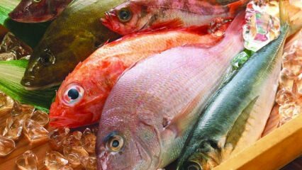 Apa manfaat ikan? Bagaimana cara mengkonsumsi ikan tersehat?