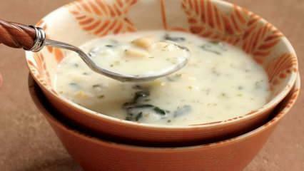 Apa itu sup dovga dan bagaimana cara membuat sup dovga? Resep sup Dovga di rumah