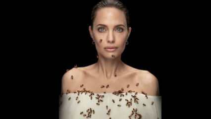 Angelina Jolie dalam lensa dengan lebah untuk lebah!