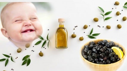 Membuat buah zaitun dengan sedikit garam untuk bayi! Pada bulan berapa sebaiknya buah zaitun diberikan kepada bayi?