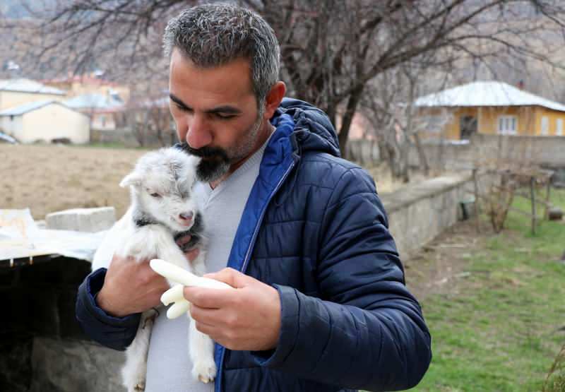 Murat Aydemir menyelamatkan nyawa anak kambing