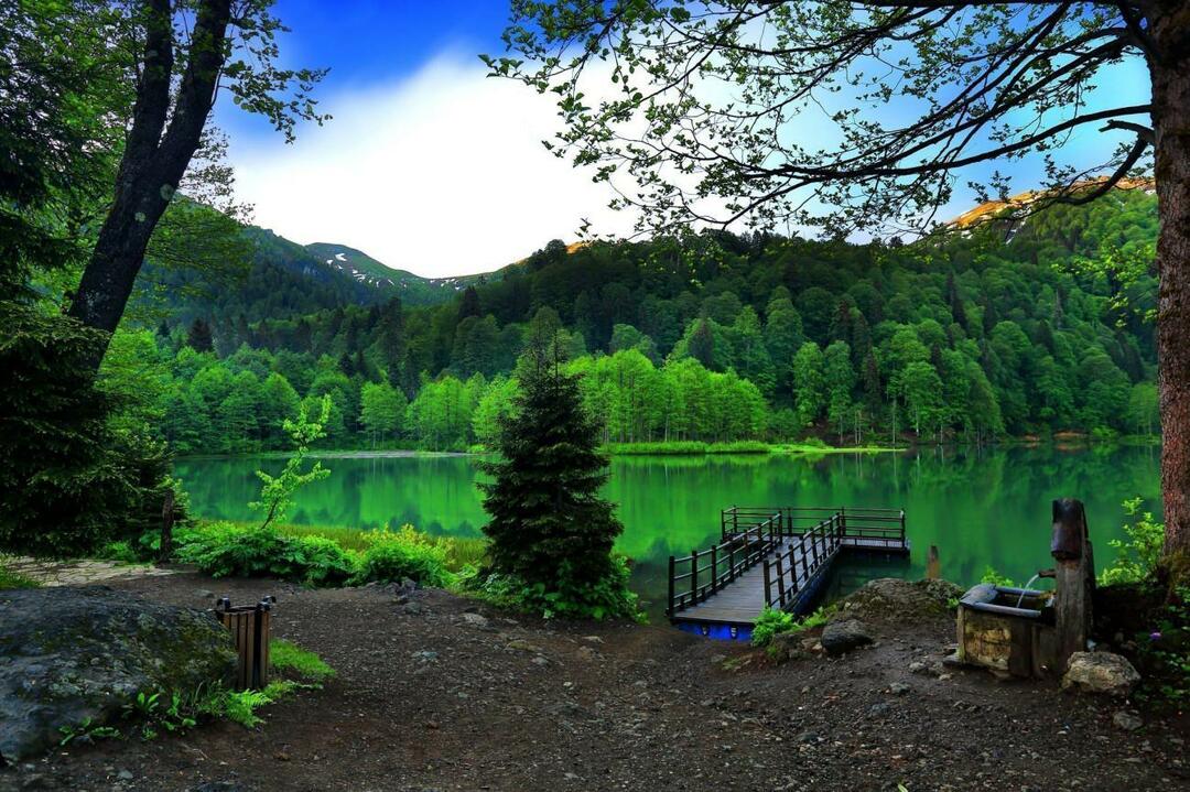 Gambar dari Taman Alam Borcka Karagol