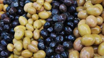 Bagaimana cara mengenali buah zaitun palsu? Bagaimana warna zaitun menjadi hitam? Untuk menggelapkan zaitun ...