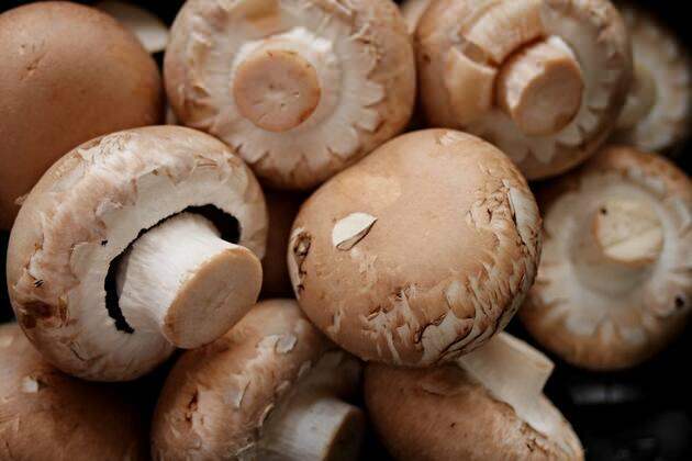 Cara memilih jamur