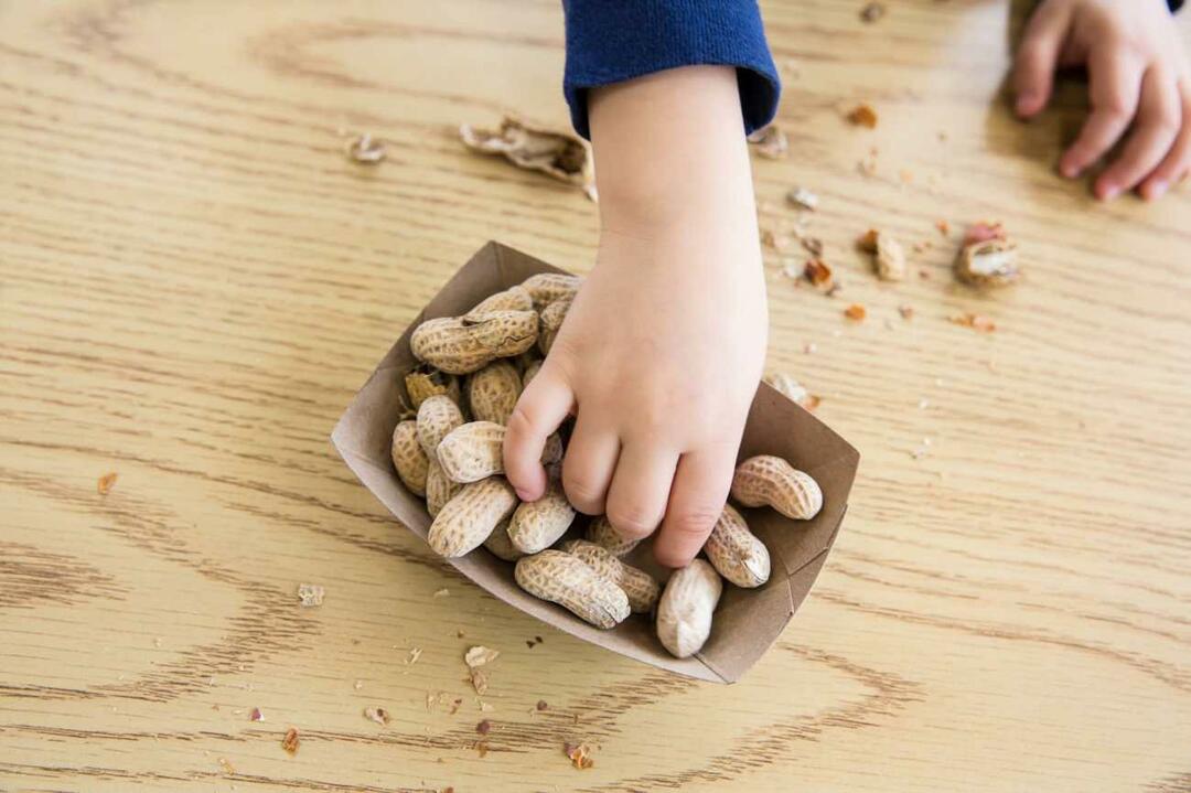 Konsumsi kacang pada anak
