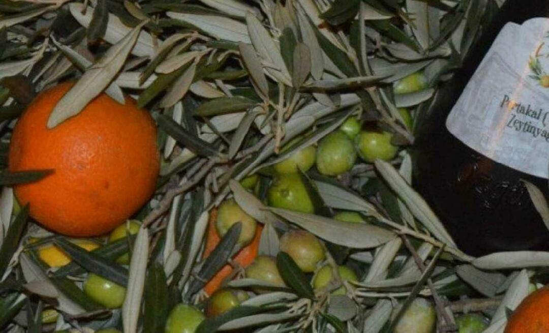 Pengusaha perempuan dari Balıkesir memproduksi minyak zaitun jeruk!