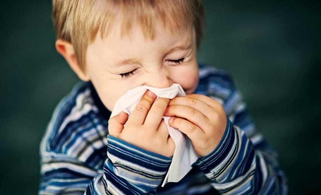 Apa itu alergi musiman pada anak-anak? Apakah itu bercampur dengan dingin? Apa yang baik untuk alergi musiman?