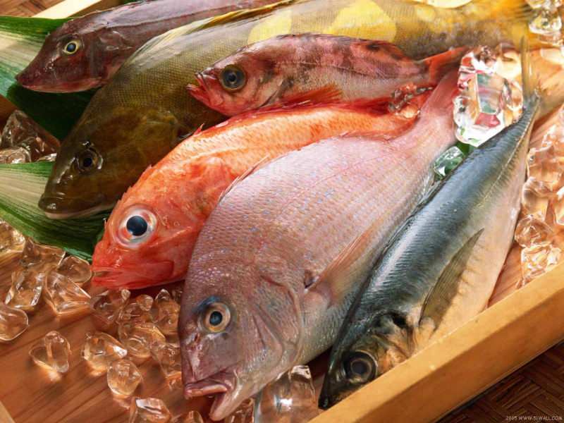 Tips memilih ikan segar dari Masterchef jury Mehmet Chef