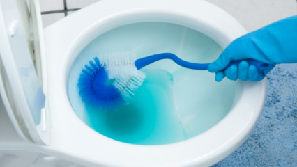 Bagaimana cara membersihkan sikat toilet? 