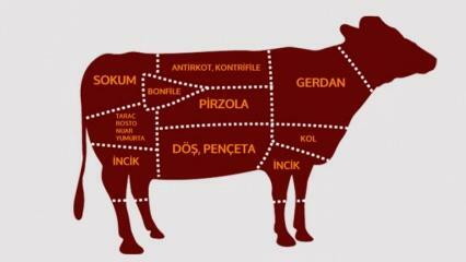 Apa saja bagian dari daging sapi? Daging apa yang dipotong dari daerah mana?