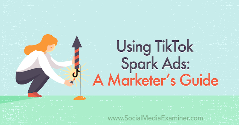 Menggunakan Iklan TikTok Spark: Panduan Pemasar tentang Penguji Media Sosial.