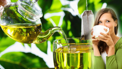 Bisakah wanita hamil minum teh hijau? Manfaat teh hijau dan metode pelangsingan tubuh