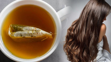 Apa manfaat teh hijau untuk rambut? Resep Masker Kulit Teh Hijau