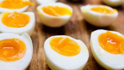 Bagaimana seharusnya telur rebus disimpan? Tips untuk merebus telur yang ideal