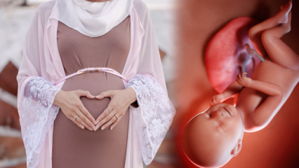 Doa untuk dibaca agar bayi tetap sehat selama kehamilan dan kenangan akan keinginan Huseyin