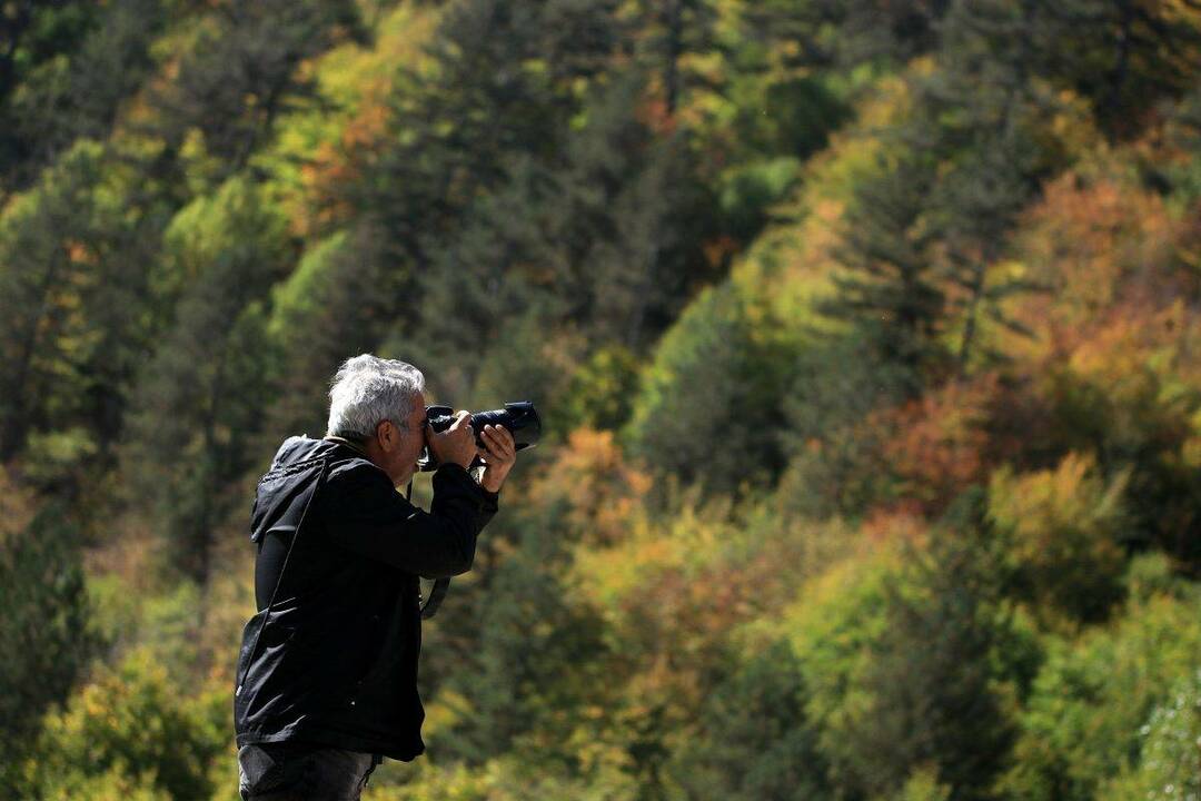 Gunung Ilgaz: Semua warna musim gugur ada di sini