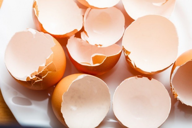 perawatan karies dengan kulit telur