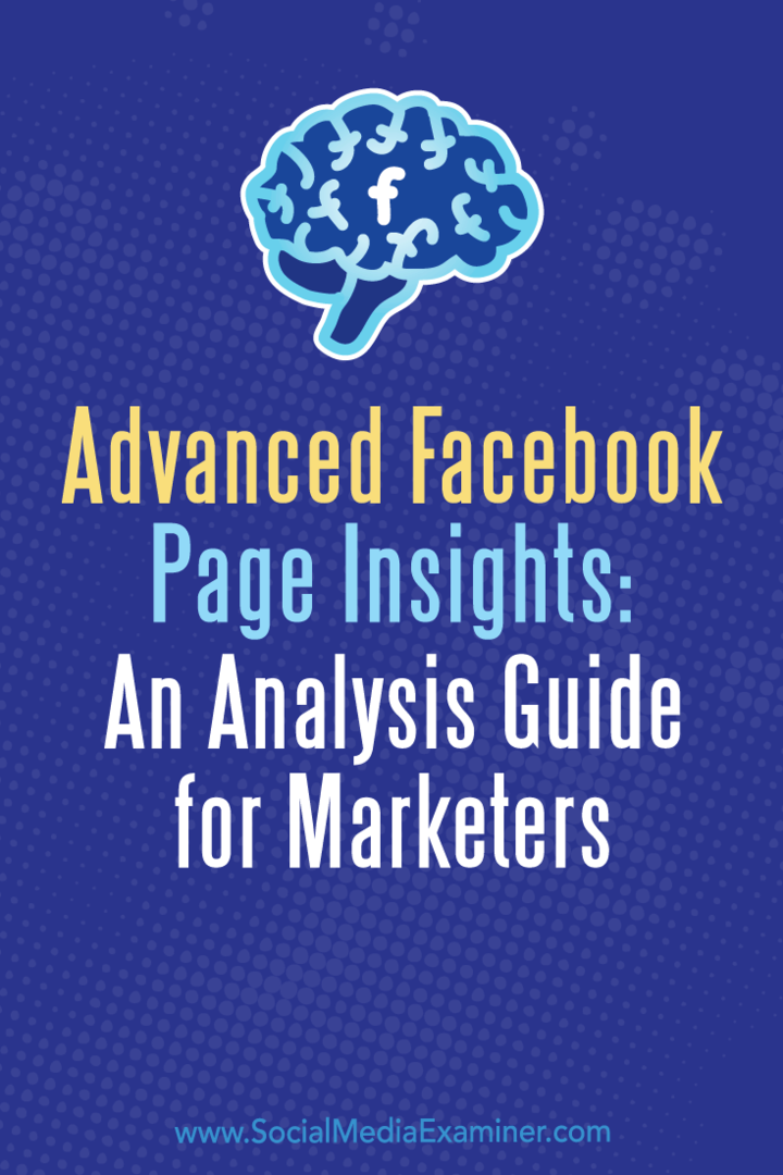Wawasan Halaman Facebook Tingkat Lanjut: Panduan Analisis untuk Pemasar oleh Jill Holtz di Penguji Media Sosial.