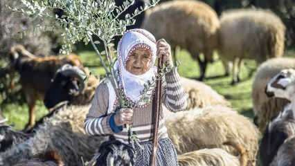 Bibi Fatma telah menjadi gembala di kaki bukit Pegunungan Amanos selama setengah abad!