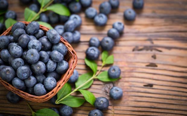 Penyakit apa yang baik untuk blueberry
