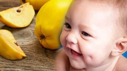 Apakah quince lesung pipit? Apakah makan quince selama kehamilan mempercantik bayi?
