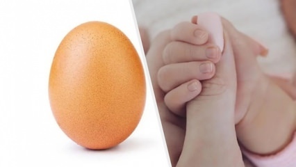 Telur pemecah rekor dengan 28 juta suka