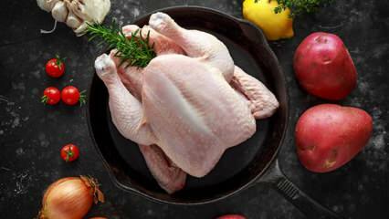 Bagaimana cara mengetahui apakah ayam itu busuk? Apa saja tanda-tanda ayam itu membusuk?
