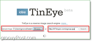Screenshot TinEye - cari gambar Anda untuk duplikat dan versi yang lebih besar