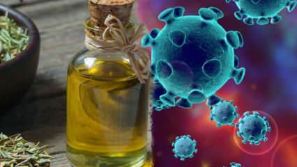 Apakah minyak thyme baik untuk virus corona? Apa manfaat oregano dan teh thyme?