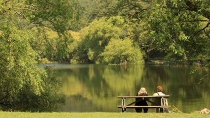 Bagaimana menuju ke Beynam Atatürk Forest? Kawasan pejalan kaki Ankara ...