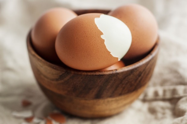 Analisis telur organik