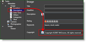 Microsoft Pro Photo Tools Fotografer MetaData Auto Hak Cipta:: groovyPost.com