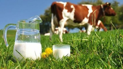 Apa itu alergi susu? Kapan alergi susu terjadi pada bayi? Alergi susu sapi ...